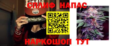 мдпв Ливны