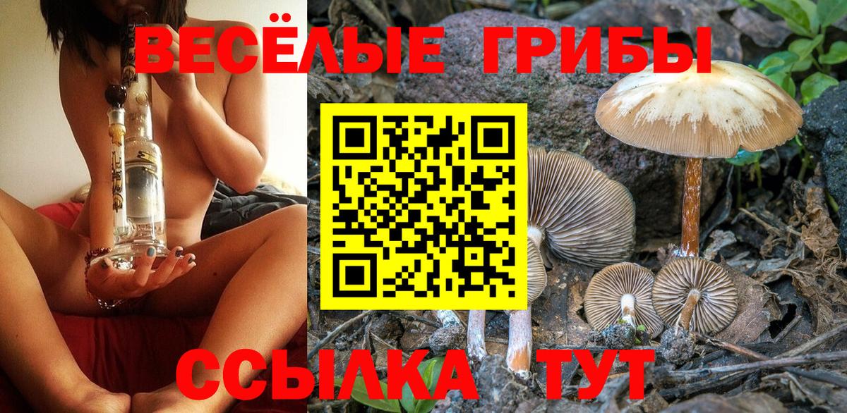 Псилоцибиновые грибы мухоморы  Вход с VPN  Елизово  Галлюциногенные грибы Psilocybine cubensis 