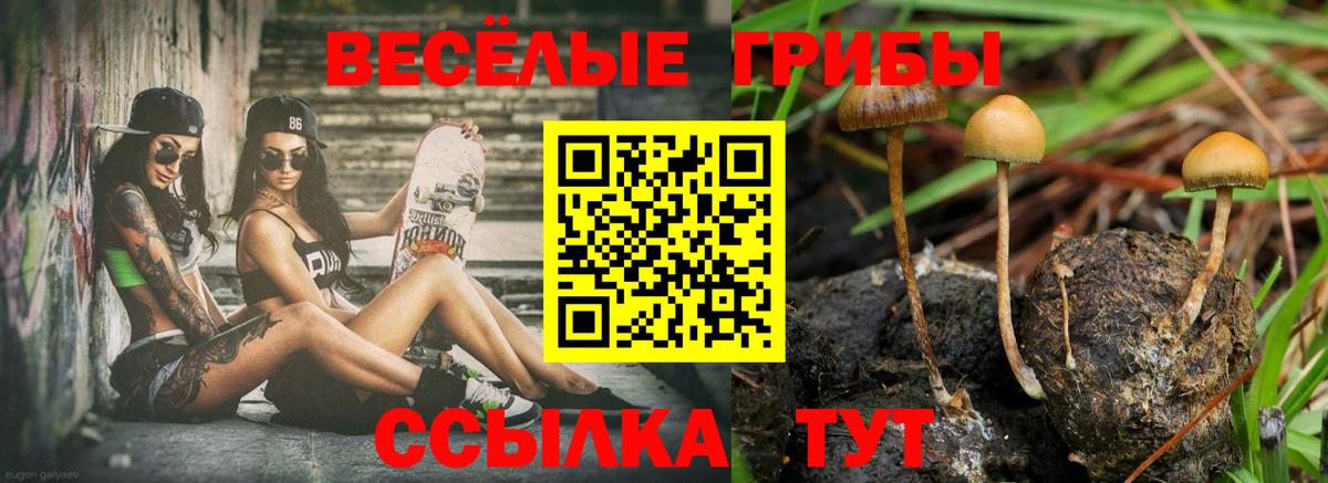 Галлюциногенные грибы MAGIC MUSHROOMS Елизово